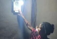 Image Source : FILE (ANI)