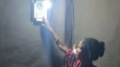 Image Source : FILE (ANI)